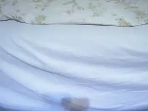 Tiger202441 online show from 02-12-25, 11:41