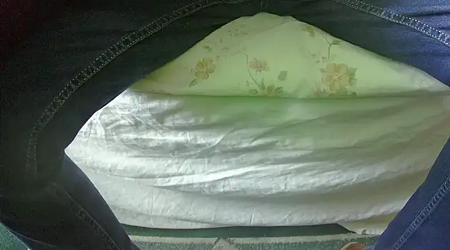 Tiger202441 online show from 02-27-25, 10:48