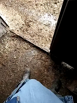 Snapshot of murokkk31 chatting on 01-09-26, 07:22 murokkk31 online show from 01-09-26, 07:22