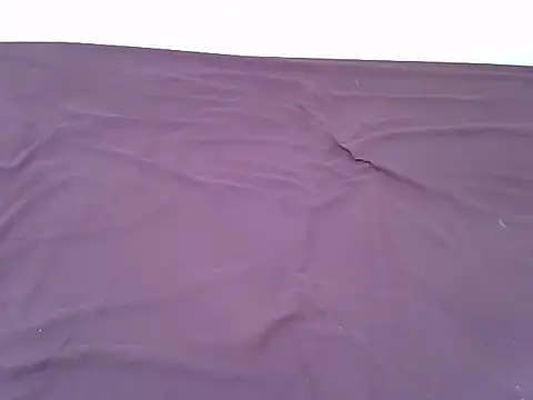 Snapshot of tasty_piee chatting on 11-07-25, 03:17 tasty piee online show from 11-07-25, 03:17