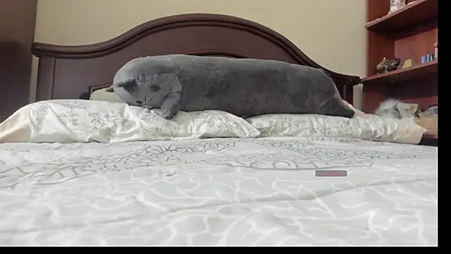 linnie  online show from 02-02-26, 02:32