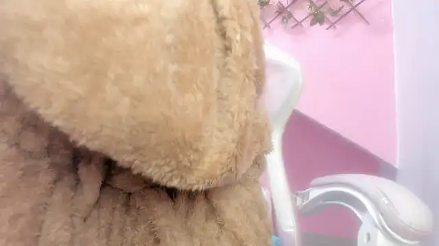 meribeth303av online show from 12-22-24, 02:17