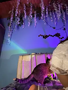 Lily candy X online show from 03-03-26, 05:24