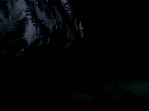 WHITEDAROSE online show from 02-19-25, 10:01