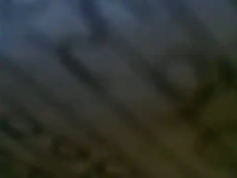 WHITEDAROSE online show from 03-12-25, 07:17