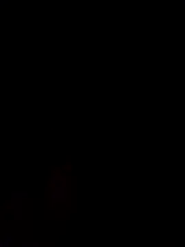 Alanagracia online show from 02-14-25, 11:31