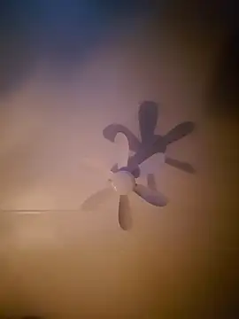 Snapshot of Dorset8360 chatting on 11-18-25, 02:17 Dorset8360 online show from 11-18-25, 02:17