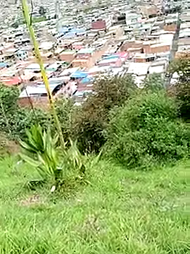  snopyy  online show from 03-21-25, 03:57