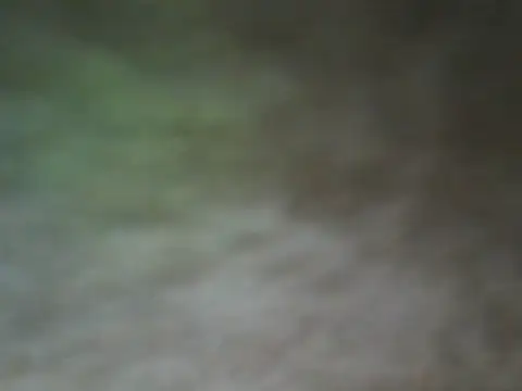 ShivamFactor3 online show from 11-28-25, 05:48