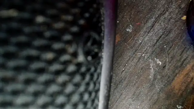 Gigadickman online show from 12-02-24, 08:33