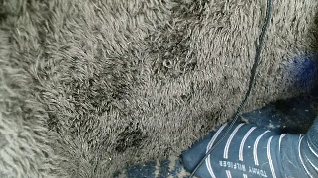 Gigadickman online show from 12-13-24, 09:02