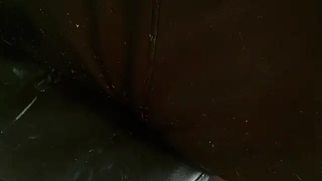 Gigadickman online show from 01-02-25, 10:11