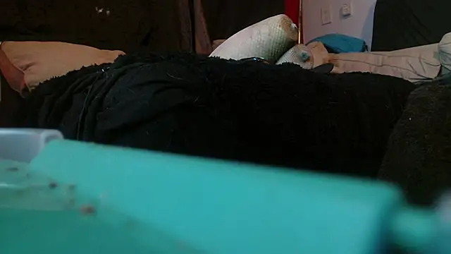 Gigadickman online show from 01-15-25, 02:17