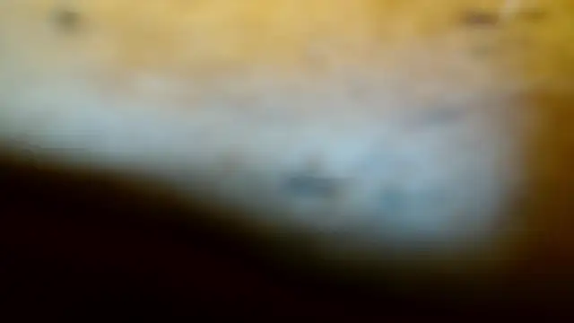 Gigadickman online show from 02-09-25, 11:57