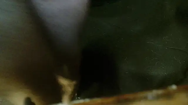 Gigadickman online show from 10-04-25, 02:31