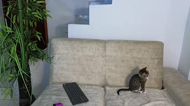 Snapshot of Lorenne_Miller chatting on 10-20-25, 03:29 Lorenne Miller online show from 10-20-25, 03:29