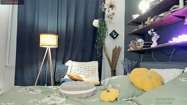Snapshot of DominikaElis chatting on 02-15-25, 08:11 DominikaElis online show from 02-15-25, 08:11