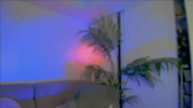  cherry bloss  online show from 10-08-25, 02:20