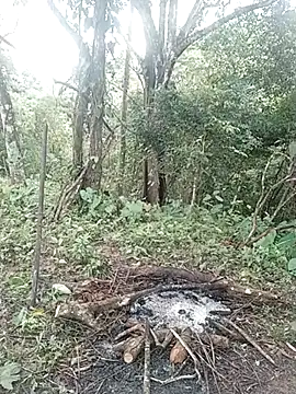 Snapshot of andreu_mature chatting on 02-23-25, 01:53 andreu mature online show from 02-23-25, 01:53