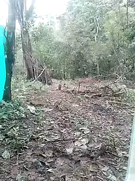 Snapshot of andreu_mature chatting on 03-03-25, 04:14 andreu mature online show from 03-03-25, 04:14