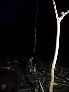 Snapshot of andreu_mature chatting on 03-17-25, 11:43 andreu mature online show from 03-17-25, 11:43