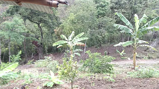 Snapshot of andreu_mature chatting on 10-07-25, 01:08 andreu mature online show from 10-07-25, 01:08