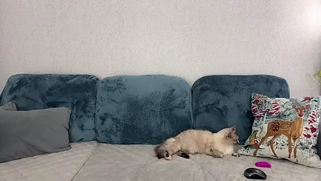 Snapshot of Victoria1Love chatting on 03-10-25, 06:23 Victoria1Love online show from 03-10-25, 06:23