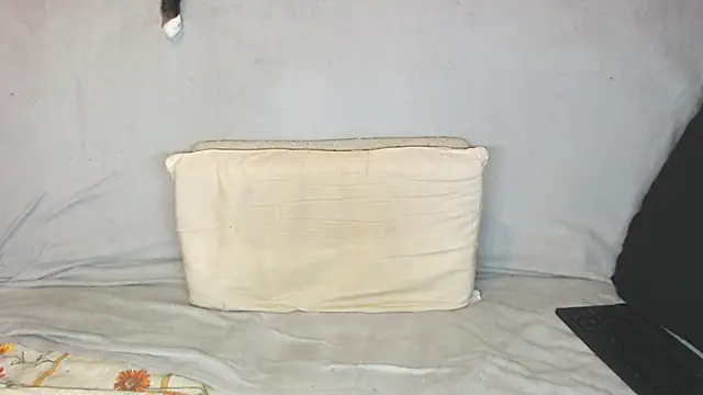 qustci-couple online show from 10-21-25, 09:43