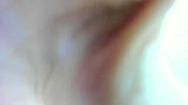 AishaRouhi online show from 01-17-25, 04:49