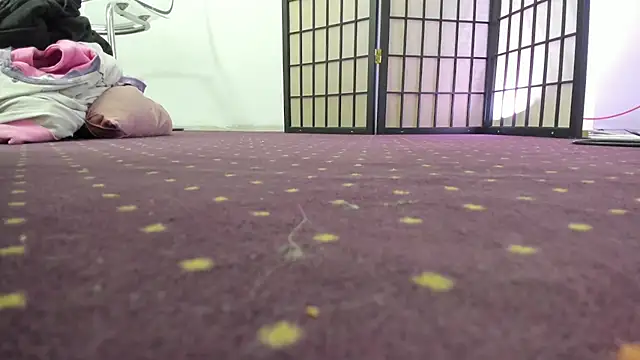 AishaRouhi online show from 04-28-26, 04:50