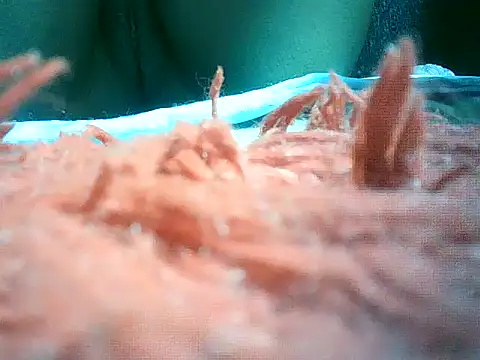 mumbi91 online show from 01-10-25, 10:57