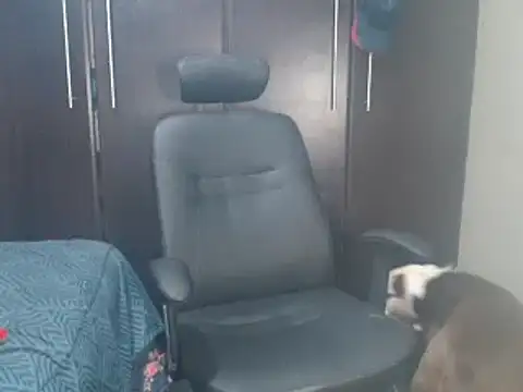 Snapshot of blzed420 chatting on 02-15-25, 11:14 blzed420 online show from 02-15-25, 11:14