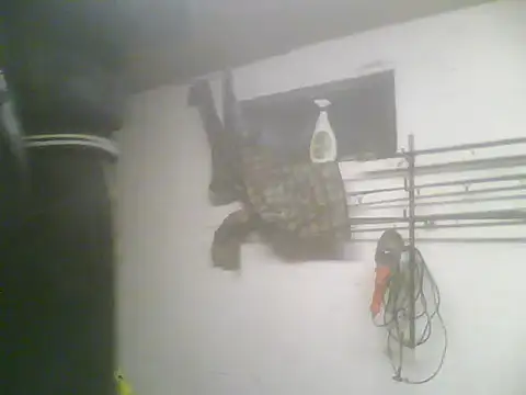 Rejtelmesest online show from 02-22-25, 05:24