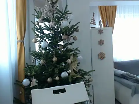 Snapshot of GoldenMark chatting on 12-20-24, 12:05 GoldenMark online show from 12-20-24, 12:05