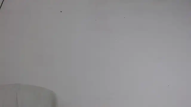 Niurca01  online show from 10-05-25, 10:51