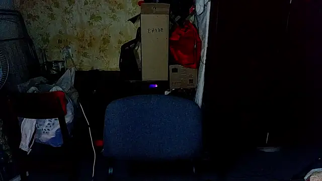 Snapshot of HilmarZ chatting on 01-28-25, 04:30 HilmarZ online show from 01-28-25, 04:30