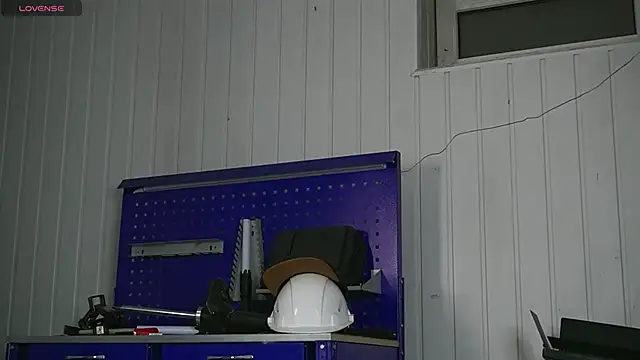 dustyn fox online show from 01-17-26, 03:17