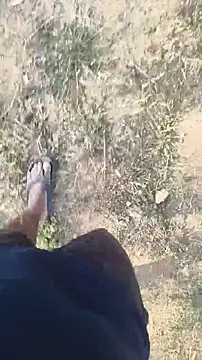 lustboyX online show from 04-03-26, 02:31