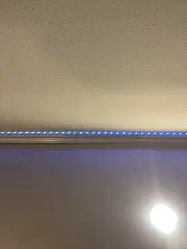 ThicBunz online show from 03-16-25, 09:58