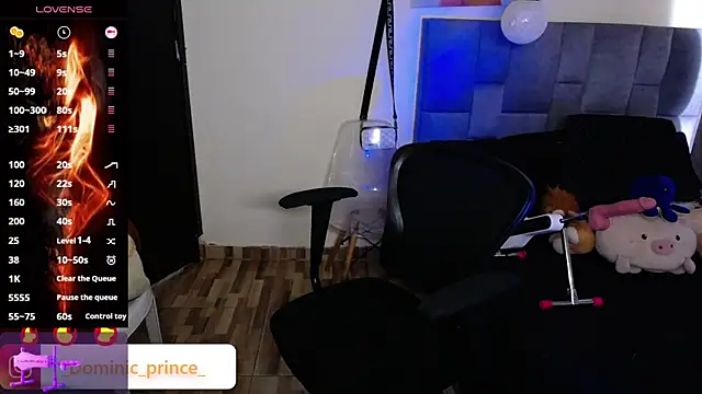 DominicPrince online show from 11-24-25, 07:02