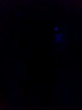 dotado20robson online show from 02-16-26, 04:41