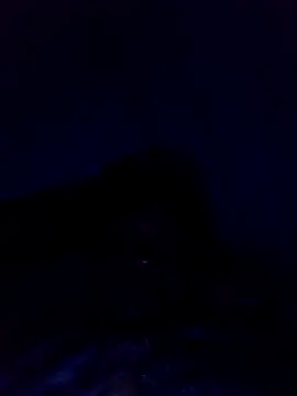 dotado20robson online show from 04-22-26, 03:31