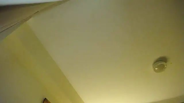 amydamarw online show from 07-24-26, 08:29