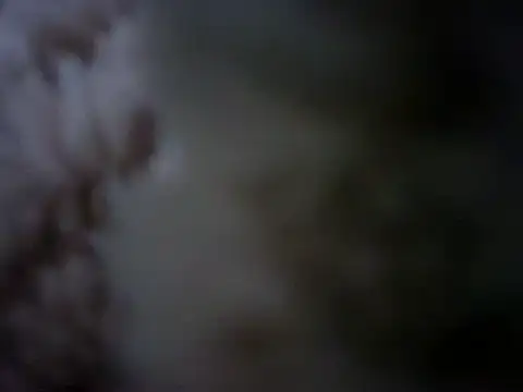 07YUKIO online show from 01-24-25, 10:08