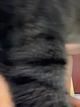 Snapshot of Barbielatinas chatting on 02-14-26, 04:31 Barbielatinas online show from 02-14-26, 04:31