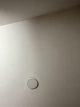 Freya Artemisa online show from 02-13-26, 08:38