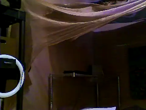 JdLove1 online show from 12-31-24, 07:40