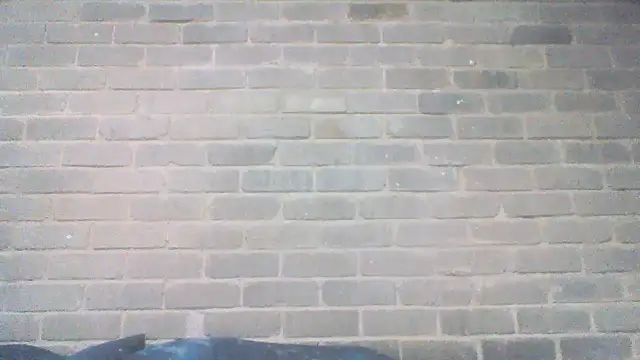 EksJouneMwah online show from 11-05-25, 07:30