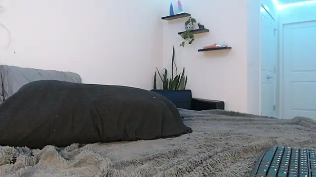 fallongrayxo online show from 03-08-25, 11:28