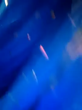 sneha rose online show from 09-08-25, 05:12